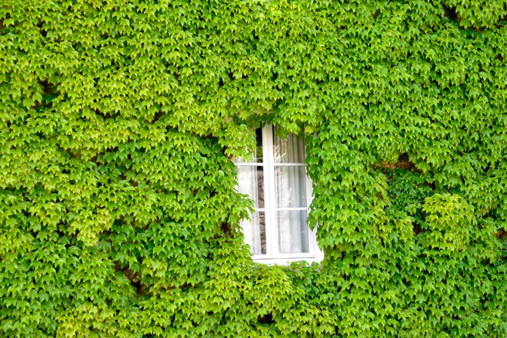 Un jardín fuera de Hôtel de France