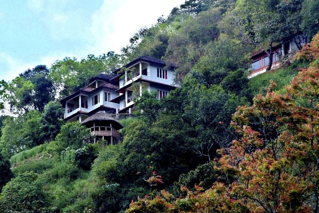 una casa sul fianco di una collina di Blackberry Hills Munnar Nature Resort & Spa a Munnar