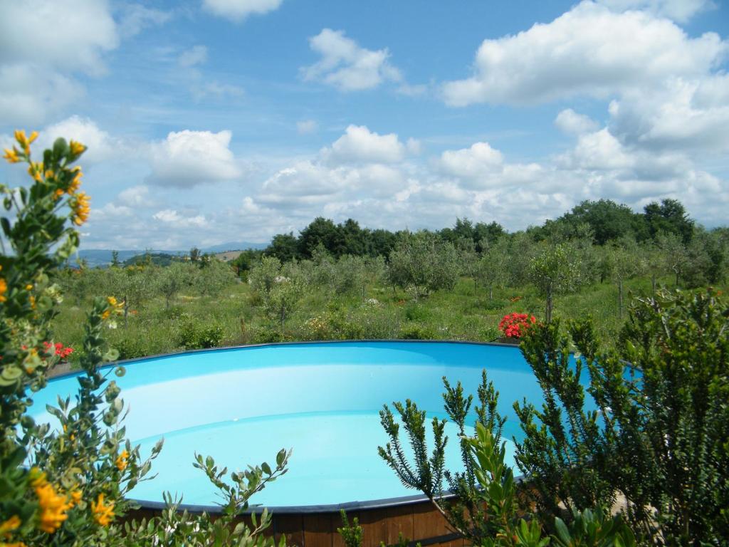 Kolam renang di atau di dekat Agriturismo Sant' Antonio