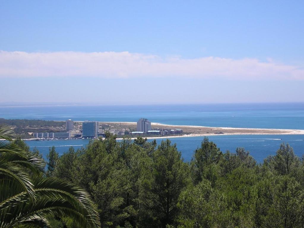 une île arborée au milieu de l'océan dans l'établissement Quinta de Sao Filipe, à Setúbal