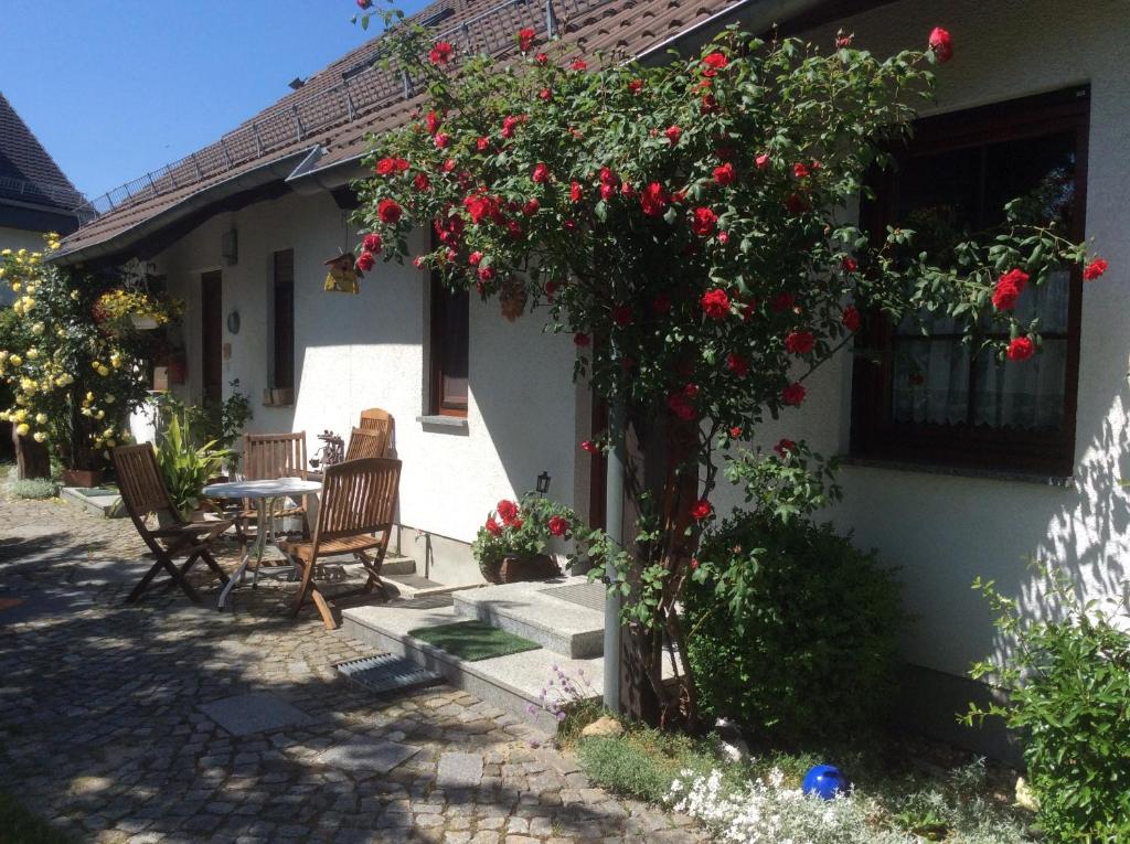 Vrt u objektu Ferienwohnung Sonne-Stadtrand Dresden