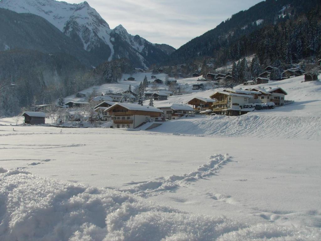 弗林肯贝格Landhaus Sonnenschein的山地下雪的村庄