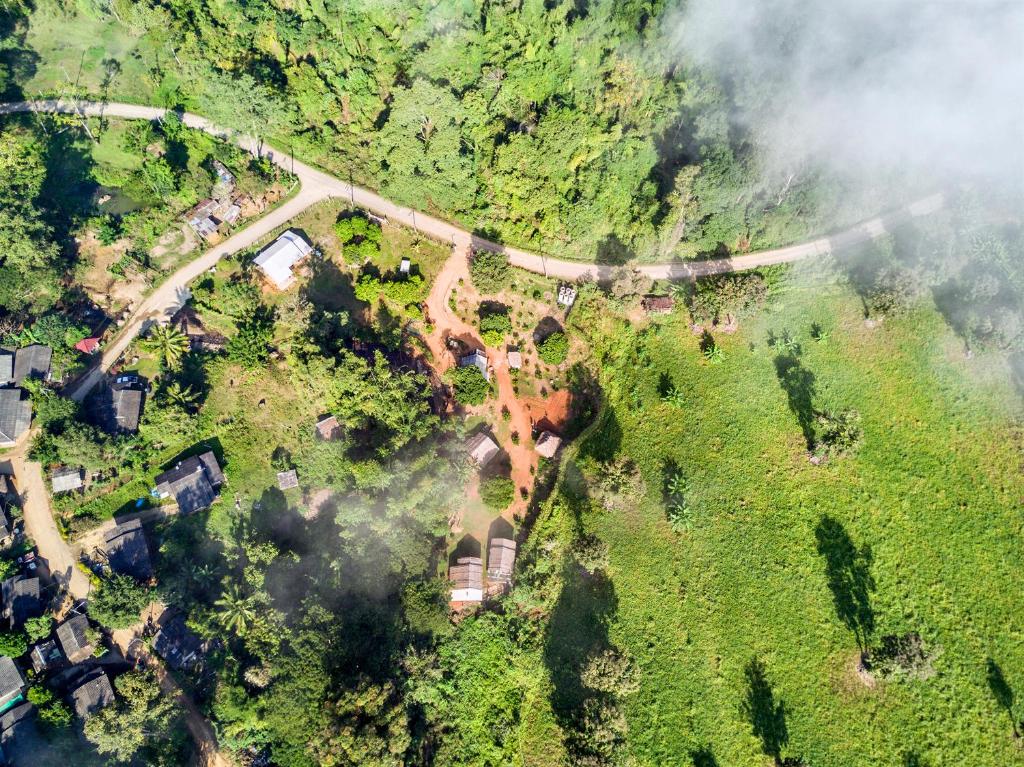 vista aerea di una strada in una foresta di Doo-Dao-Doi Farm & Stay a Chiang Dao