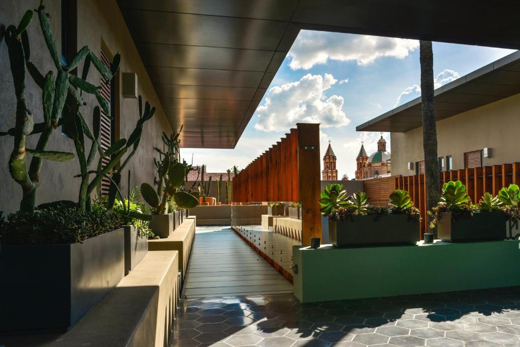 einen Balkon mit Topfpflanzen auf einem Gebäude in der Unterkunft Hotel Criol in Querétaro