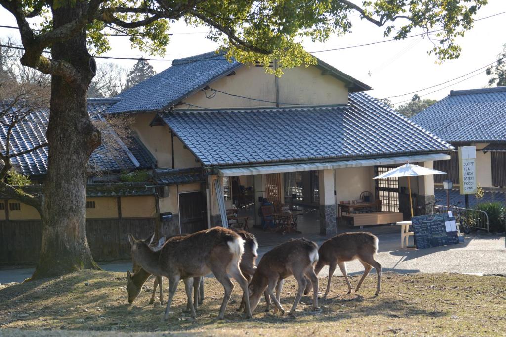 drie herten die voor een huis staan bij The Deer Park Inn in Nara