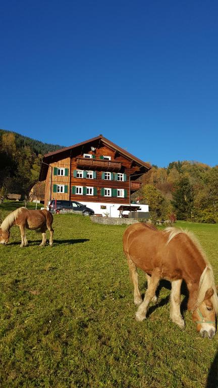 Životinje u apartmanu ili u blizini