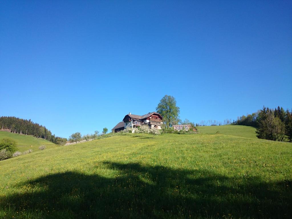 Peisaj natural din apropierea acestei pensiuni agroturistice