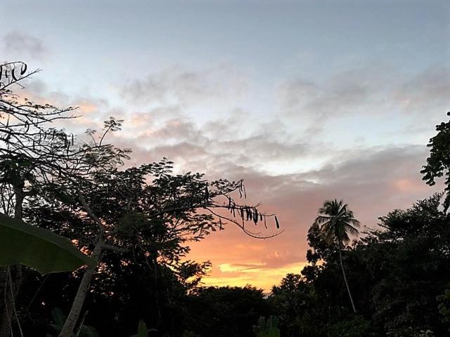 a cloudy sky with a palm tree and a sunset at Tobago Hibiscus Golf Villas & Appartments in Mount Irvine