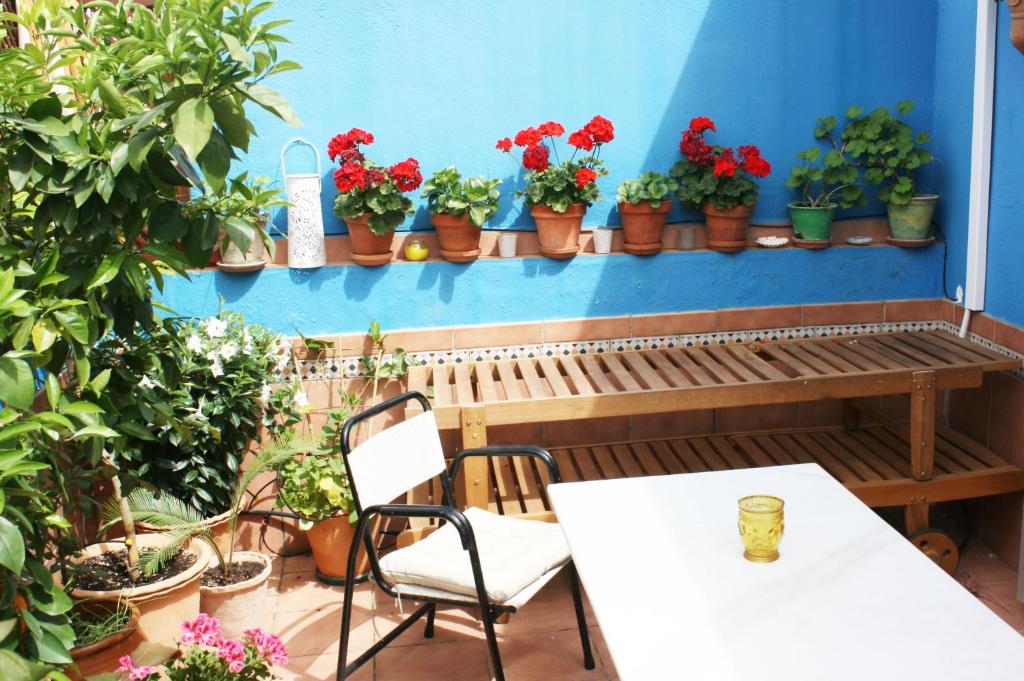 Sevilla'daki La Terraza Azul tesisine ait fotoğraf galerisinden bir görsel