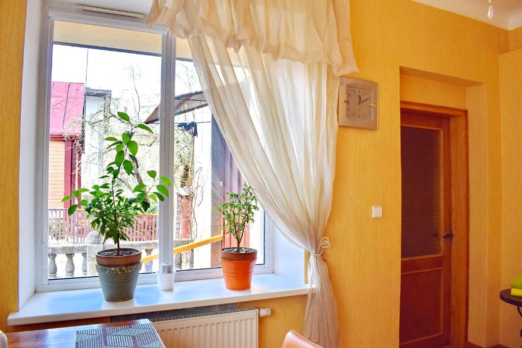 ein Fenster mit drei Topfpflanzen auf einem Fensterbrett in der Unterkunft Cozy room in Kaunas in Kaunas