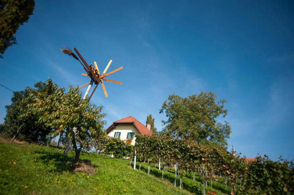 A garden outside Weingut Leopold Dietrich