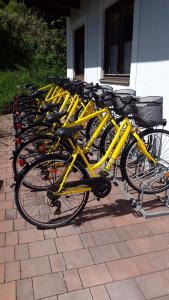 een rij gele fietsen geparkeerd naast een gebouw bij Alpenhotel Tauernstüberl in Zell am See