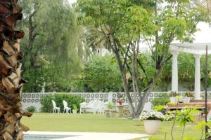 Kebun di luar Hotel Malaga Picasso