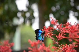 Bilde i galleriet til Eden House Retreat i Yungaburra