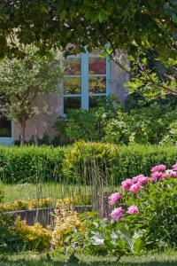 A garden outside Villa Louise