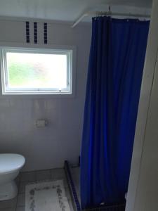 La salle de bains est pourvue d'un rideau de douche bleu et d'une fenêtre. dans l'établissement Ringbomsvägen Holiday Home, à Ljugarn