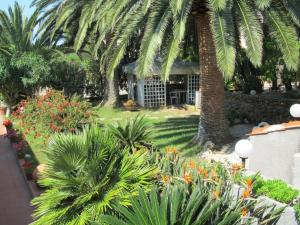 um jardim com palmeiras e flores em frente a uma casa em Al Pozzo Residence em Capoliveri