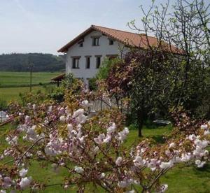 Garden sa labas ng Posada Valle de Güemes