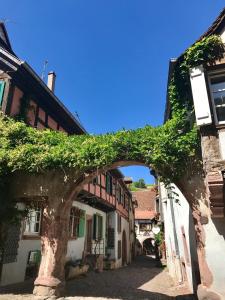 um arco numa cidade com hera nos edifícios em Les Authentics - La Maison d'Amélie em Riquewihr