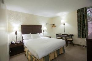 a hotel room with a large bed and a desk at Inns of Virginia Arlington in Arlington