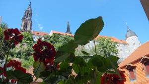 Fotografia z galérie ubytovania Hotel Schlossberg v destinácii Meissen