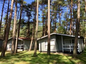 ein grünes Haus im Wald mit Bäumen in der Unterkunft Leśna Przystań in Pobierowo