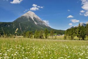 Un paisaje natural cerca de la pensión