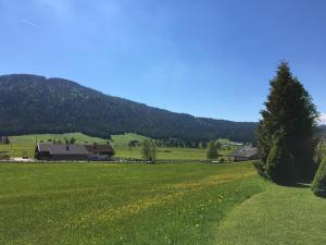 Un paisaje natural cerca de la pensión