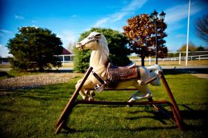 Animales en el hotel o alrededores