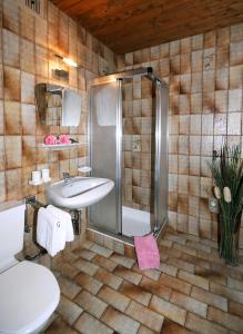 a bathroom with a shower and a sink and a toilet at Ferienwohnungen Rahm in Mayrhofen