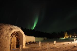 an igloo with the aurora in the sky at night at Sorrisniva Igloo Hotel in Alta