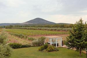 サンタ・マリア・ラ・パルマにあるAgriturismo Casale Degli Ulivi Algheroの山の景色を望むブドウ畑の家