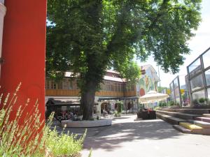 Un albero in mezzo a una strada di MCC Hostel a Celje