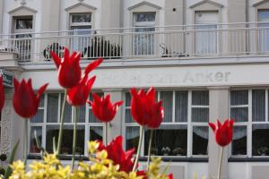 un groupe de fleurs rouges devant un bâtiment dans l'établissement Hotel zum Anker, à Andernach