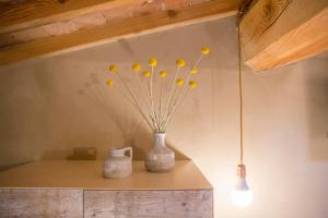 deux vases assis sur une étagère avec des fleurs jaunes dans l'établissement Corte Formigar, à SantʼAmbrogio di Valpolicella