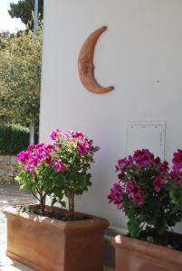 dos macetas con flores y una luna creciente en una pared en Hotel Donatello, en Alberobello