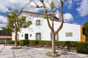 a white house with two trees in front of it at Casa D Obidos in Óbidos