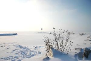 Naturlandskap nära lägenhetshotellet