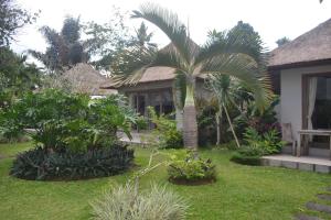 un jardín con una palmera frente a una casa en Suka's House Bed & Breakfast, en Ubud