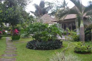 un jardín frente a una casa con plantas en Suka's House Bed & Breakfast, en Ubud