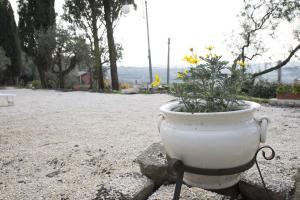 a white planter with flowers in it sitting in a yard at La Dolce Casetta in Grottaferrata