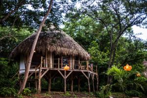 Сад в Dreamsea Surf Resort Nicaragua