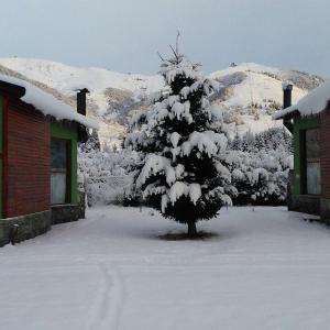 un árbol cubierto de nieve frente a una casa en Cabañas Ruca Carel, en San Carlos de Bariloche