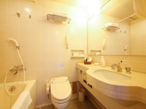 a bathroom with a toilet and a sink and a mirror at Tokushima Grandvrio Hotel in Tokushima