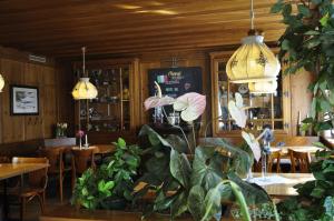 a restaurant with tables and potted plants in a room at Gasthaus Skiklub in Andermatt