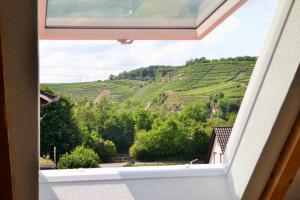 a window view of a vineyard from a house at Weinblick in Besigheim