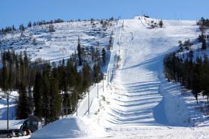 サッラにあるVilla Kuukkeliの山の木々が植えられた雪面スキー場