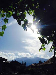 una vista del sol a través de las hojas de un árbol en Къща за гости Типик, en Bansko