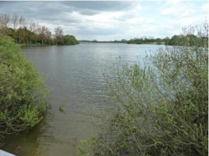 uitzicht op een rivier met bomen en struiken bij Le Chêne Liège in Maché