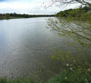 een grote hoeveelheid water met bomen op de achtergrond bij Le Chêne Liège in Maché